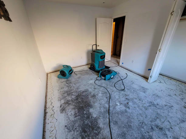 Best Local water damage restoration  in Colleyville, TX