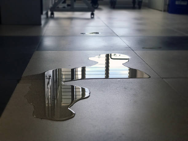 Best Water damage cleanup near me  in Colleyville, TX
