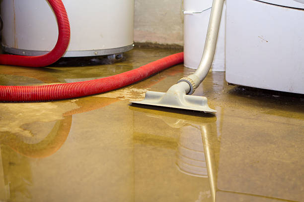 Best Water damage cleanup near me  in Colleyville, TX