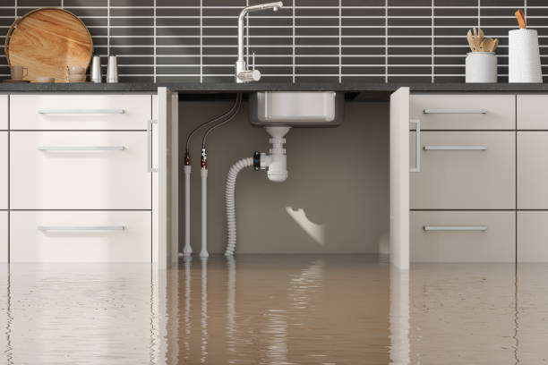 Best Ceiling water damage repair  in Colleyville, TX