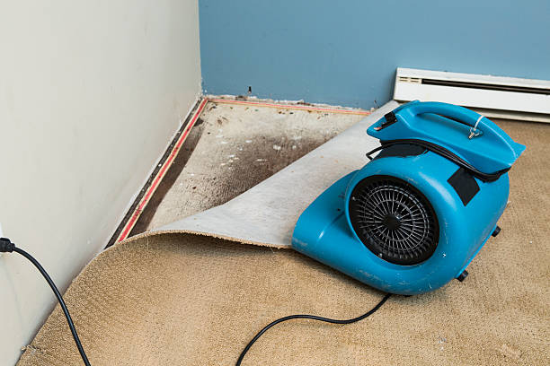 Best 24-hour water damage restoration  in Colleyville, TX